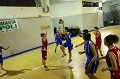 Basket 443096